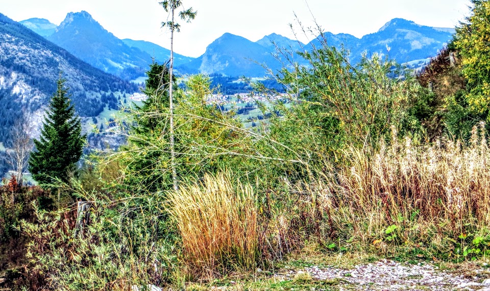 32082 Imberg Allgäu Blick östlich über das Oberjoch und ins Tannheimer Tal 