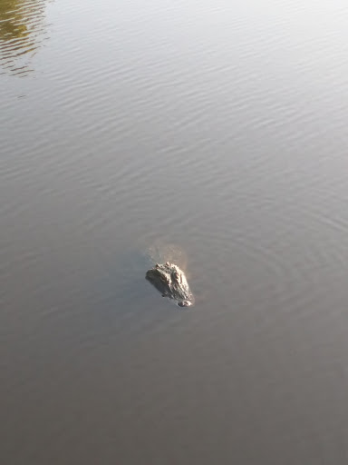 Chicot State Park