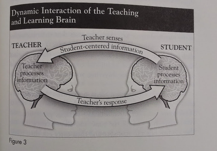 The Teaching Brain, Vanessa Rodriguez