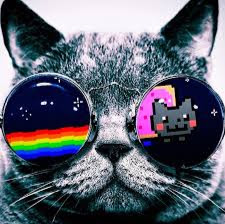 Image pertaining to LEONEL PROGRAMADOR SCR
