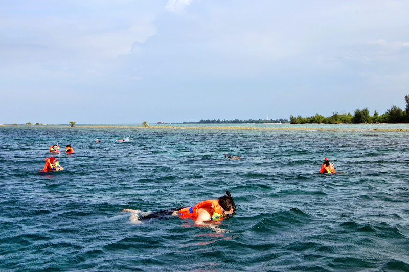 Snorkeling di Pulau Tidung