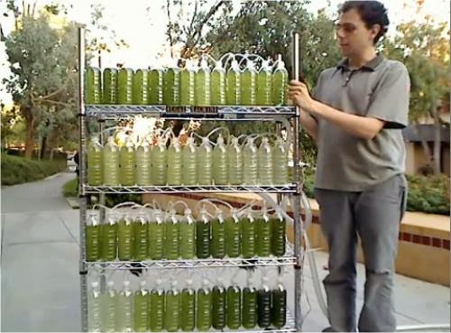 Recycled Water Bottle Diy Algae Bioreactor