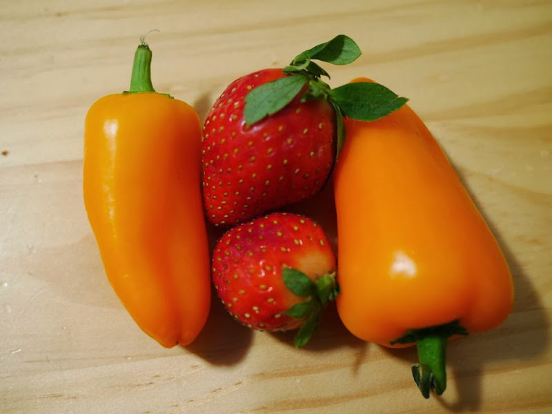 Strawberries and baby bell peppers
