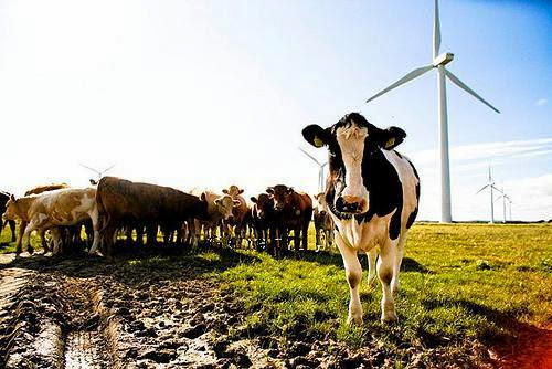 Wind Power Not Enough To Affect Global Climate Researchers Find