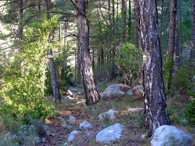 Senderismo - Portell de Morella - Rambla Sellumbres PR-CV 408