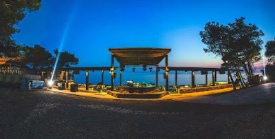 Photos of Pino Del Mar