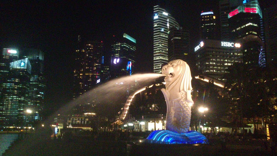 Гонконг + Сингапур (Neon Lion) много фото