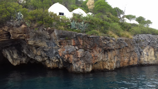 Island Dino