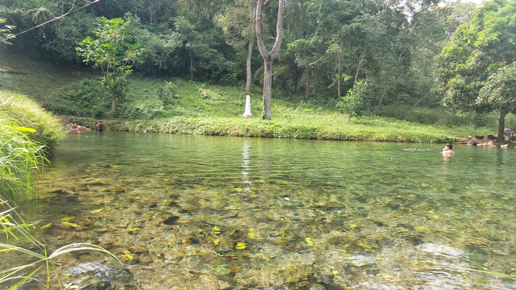 Redescobrindo o Brasil - Página 3 20140608_114201