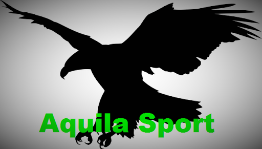 Aquila Sport en Massage Zevenaar logo