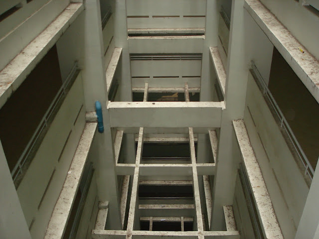 Một số hình ảnh vệ sinh lối đi cầu thang bộ chụp từ trên cao xuống DSC00020