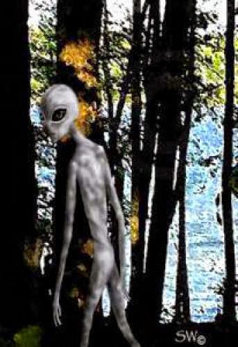 Two Men Fishing In Michigan Have Alien Sighting