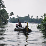 Photo de la galerie "Le Kérala et ses backwaters"