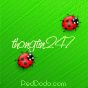 thongtin247