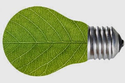 Conserving The Environment And Your Money Why Green Options Are More Affordable