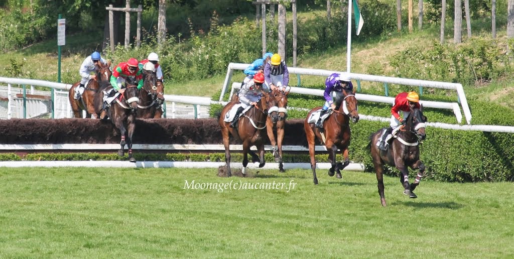 Photos Auteuil 8-06-2014  - Page 2 IMG_1967