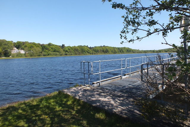 River Dee, Aberdeen