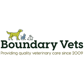 Boundary Veterinary Centre - Abingdon