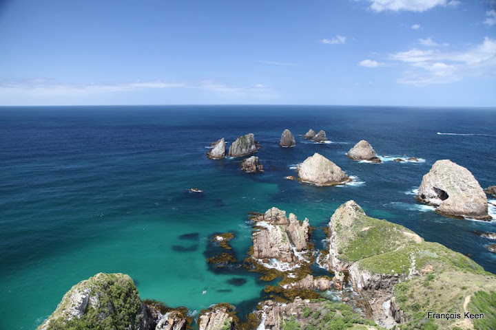 NZ - Nugget Point - Catlins Conservation Park
