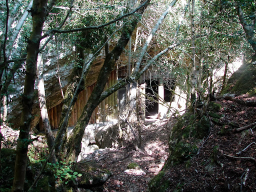 Senderismo: Cova Ferrins - Negrell - Barranc Cirers - Pont Foradat