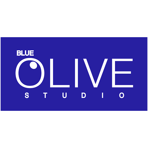 Blue Olive Studio, F-266, Industrial Area,, Airport Rd, Industrial Area, Sector 74, Sahibzada Ajit Singh Nagar, Punjab 160071, India, Recording_Studio, state PB
