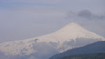 20111102 - Parc National Huerquehue - Chili