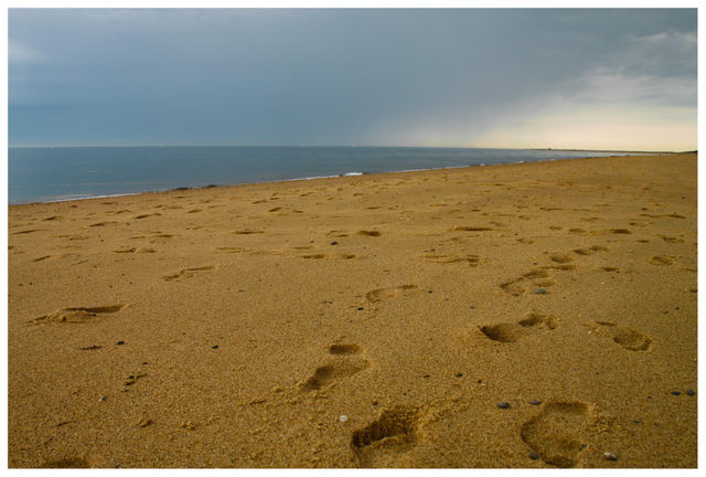 3200 Km de Costa Este - Blogs de USA - Cape Cod - Provincetown (10)