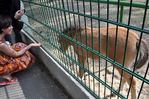 27-29 мая белорусская бойня