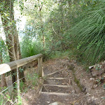 Steps west of Calna Creek (330680)