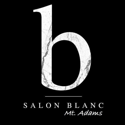 Salon Blanc logo