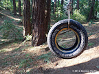 Tire swing located along Fern Ravine Trail when it goes over the creek