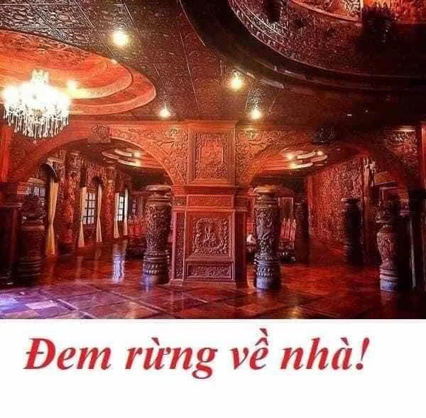 RỪNG ĐI VỀ ĐÂU ???