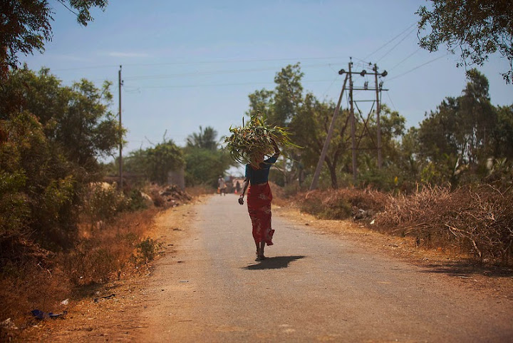 And when all the wars are over, a butterfly will still be beautiful. Ruskin Bond. Photographer of   the Month: Wick Sakit