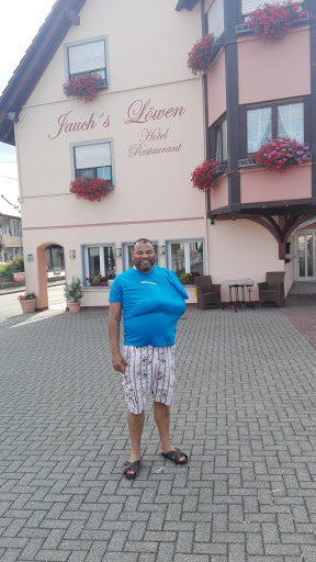 Jauch's Löwen