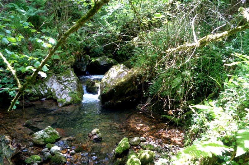 Foces del Río Pendón (Sª Peñamayor) - Descubriendo Asturias (8)