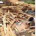 Giới thiệu quy trình sử dụng gỗ thông pallet ốp trần tường