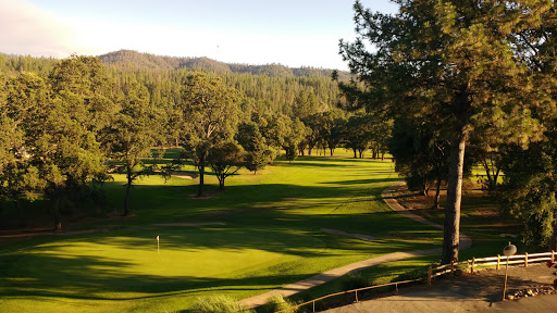 Association or Organization «Pine Mountain Lake Golf Course», reviews and photos, 12765 Mueller Dr, Groveland, CA 95321, USA