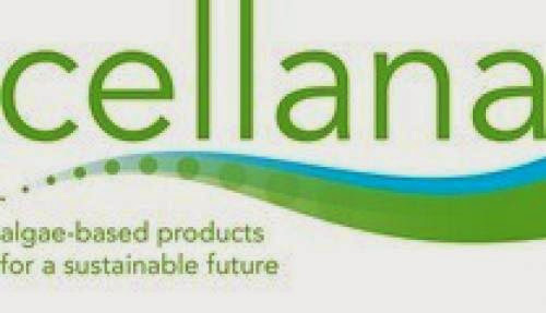 Cellana Kona Demonstration Facility And Patented Algae Production Process Showing Promising Results