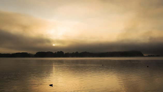 Cover photo