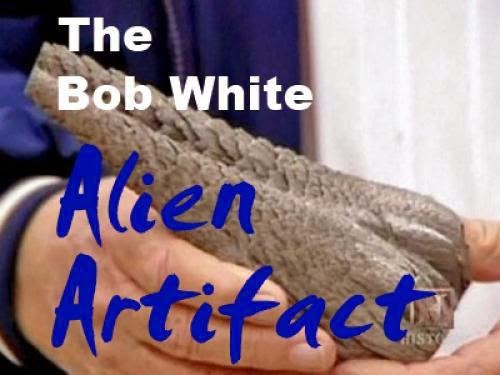 The Bob White Alien Artifact