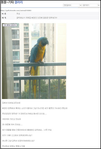 득템종결자.jpg