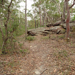 Graves Walk on top of the ridge (227122)