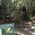 Bottom of Casuarina Steps (132196)