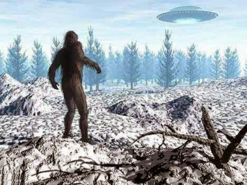 Bigfoot An Alien Ufo Meeting Mulls Possibilities