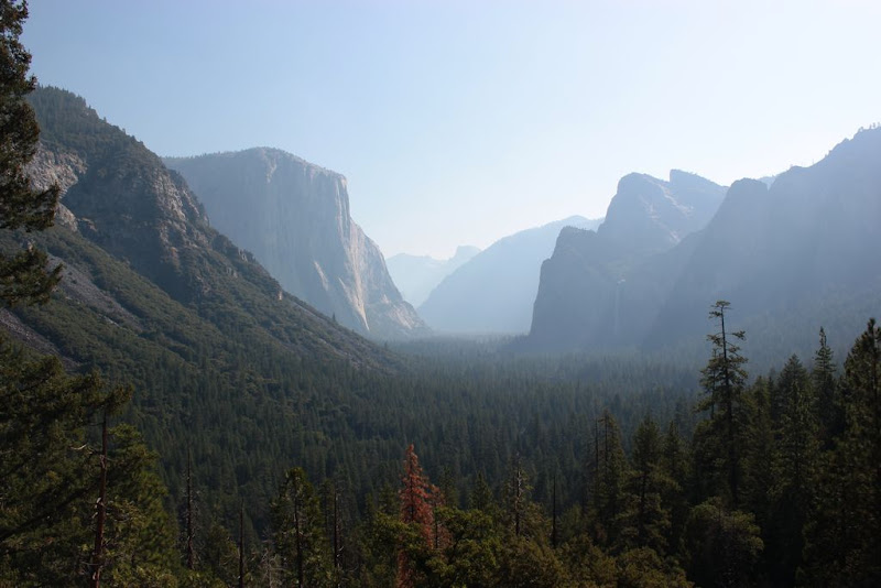 Día 12 - Yosemite - De Mallorca a la Costa Oeste de EEUU  (9)