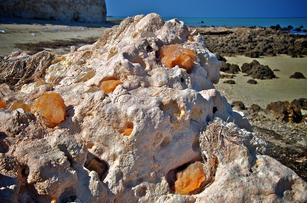 Fossilized sea sponges