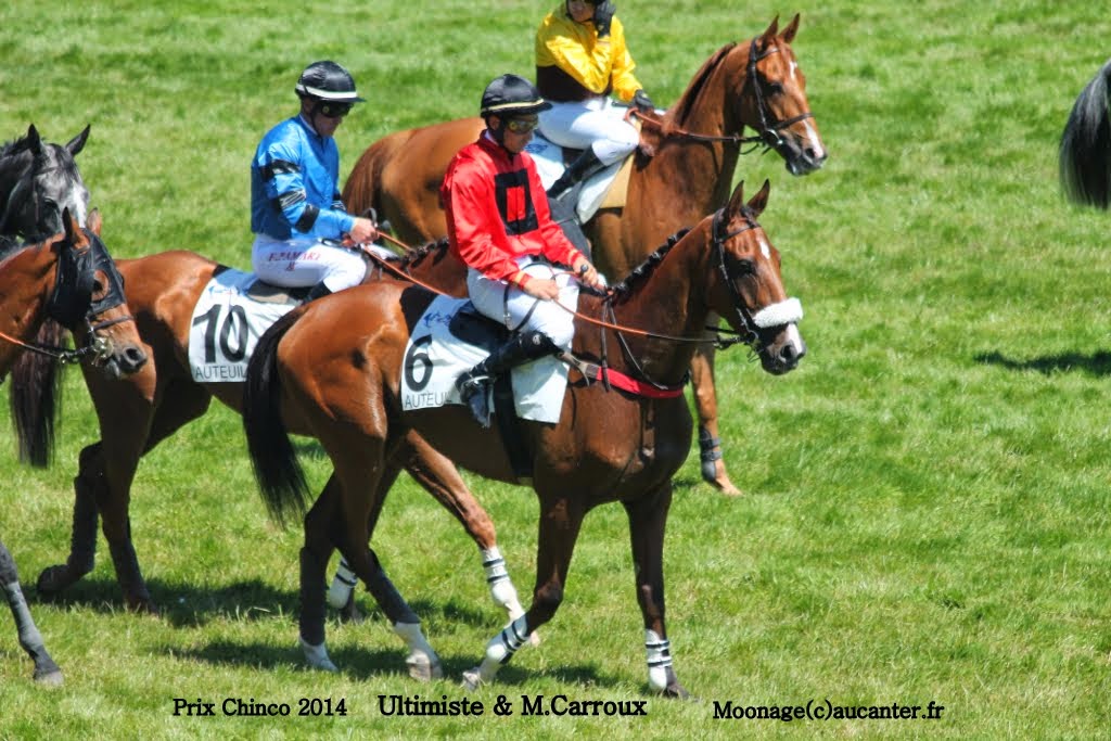 Photos Auteuil le 21-06-2014 - Page 2 IMG_2328