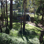 View through the trees (152551)