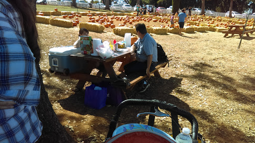 Apple Hill