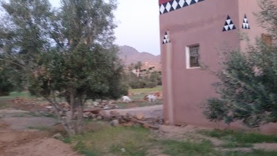Photos of Camping Tazka